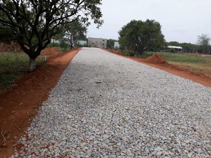 Bloom City 1 - Project Photo