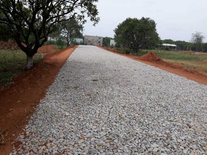 Bloom City 1 - Project Photo