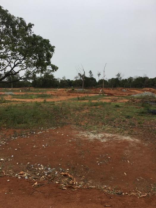 Bloom City 1 - Project Photo