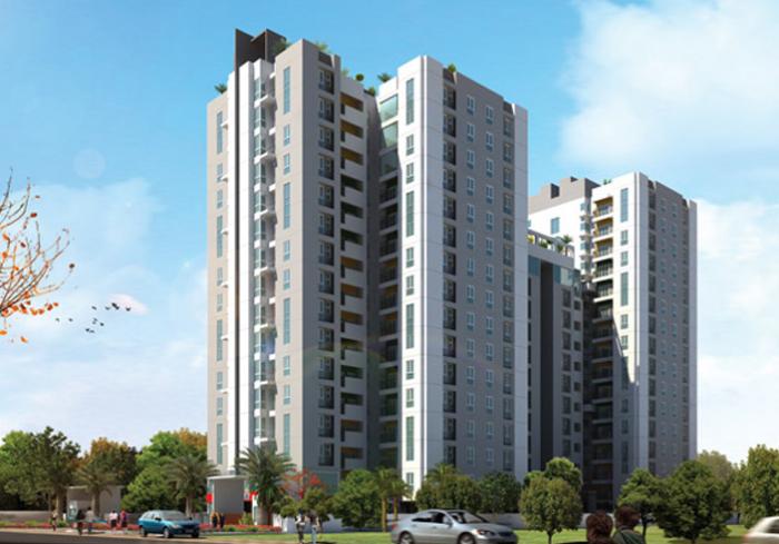 Ruby Elite - Banner Image