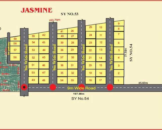 Mountain Jasmine - Master Plan