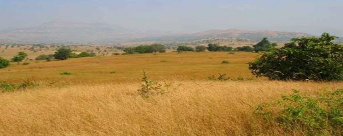 Subhadra Tranquil - Project Photo