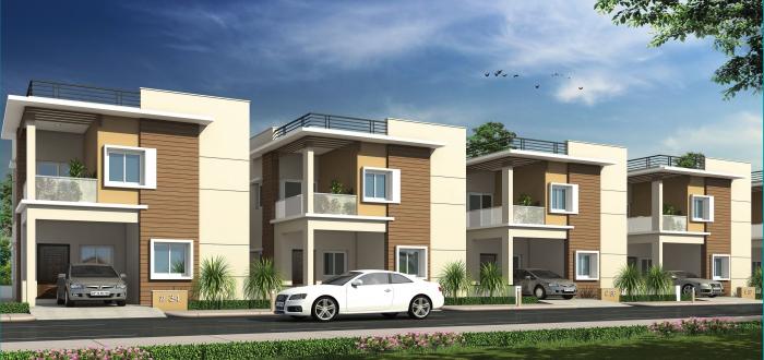 Praneeth Pranav Leaf - Project Photo