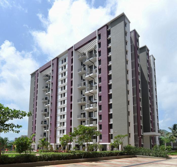 Malpani Saffron - Banner Image