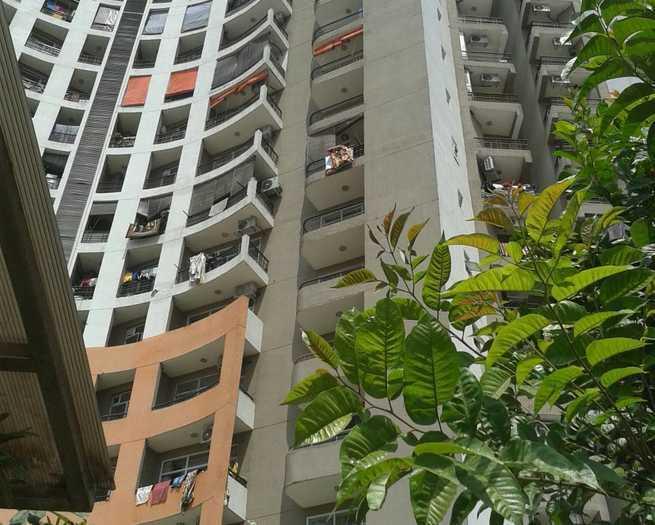 Orange County - Project Photo