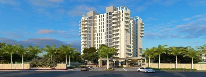 Conscient One - Project Photo