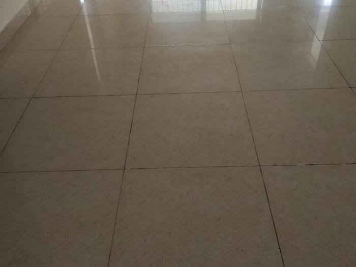 Cedar Woods - Under Construction