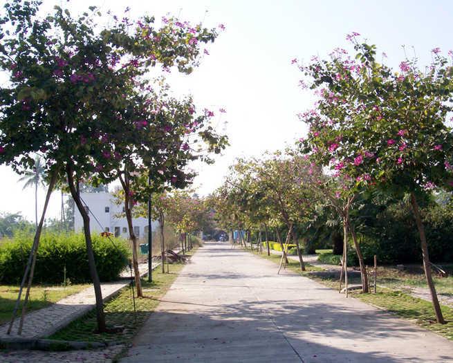 KUL Kumar Meadows - Project Photo