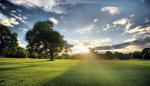 1200 Sqft  Plot for sale in Off Sarjapur road, Bangalore.