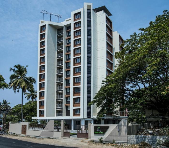 Arya Bhangy Pine Tree - Project Photo