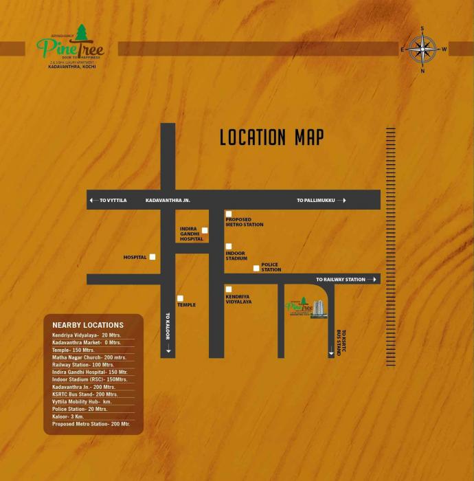 Arya Bhangy Pine Tree - Locality