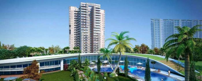 Sare New Launch - Banner Image