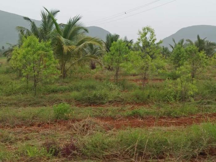 Charan Estates Plot - Project Photo