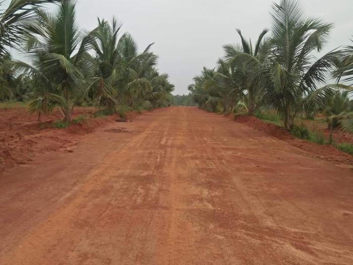 Charan Estates Plot - Project Photo