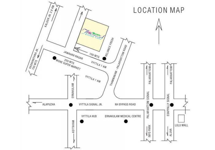 Mather Asteroid - Locality