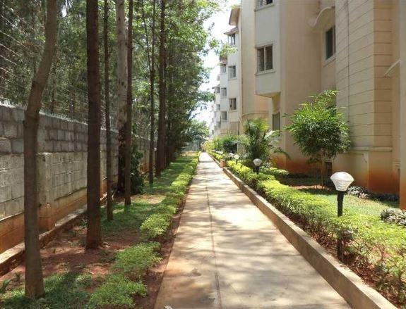 Vanshee RichFields - Project Photo