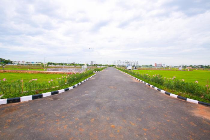 VGN Spring Field - Banner Image