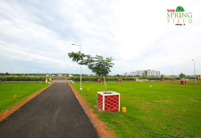 VGN Spring Field - Project Photo