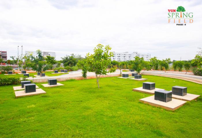 VGN Spring Field - Project Photo