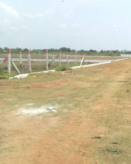 Crescentz Aurora - Banner Image