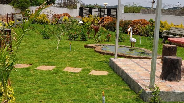 Mitta Iris - Project Photo