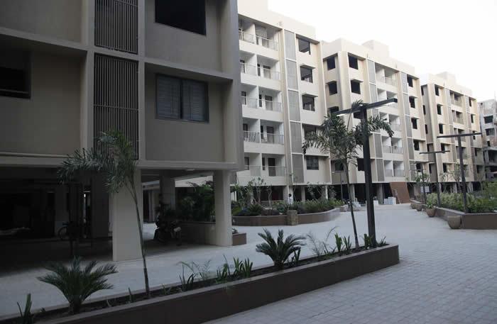 Deep Indraprasth 9 Hibiscus - Project Photo