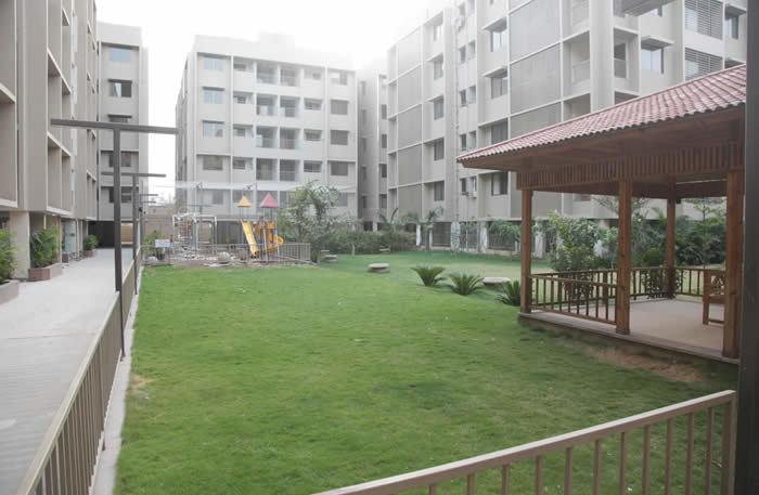 Deep Indraprasth 9 Hibiscus - Project Photo