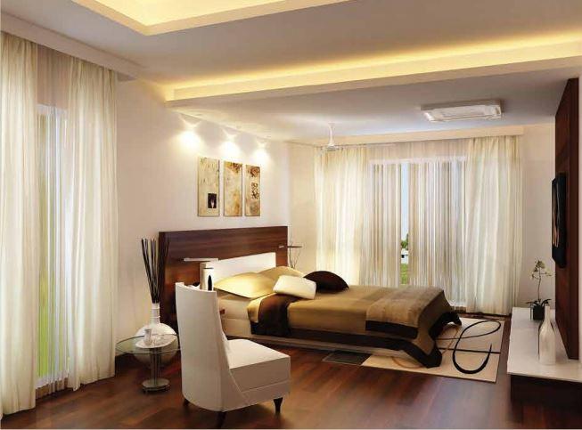 Spero Bonsai - Project Photo