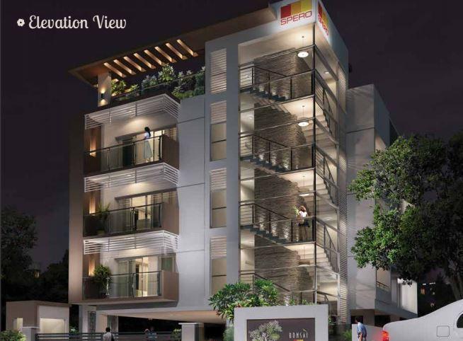 Spero Bonsai - Project Photo