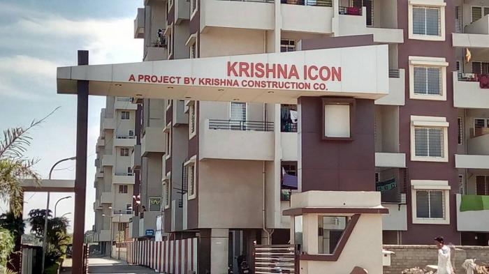 Krishna Icon - Project Photo