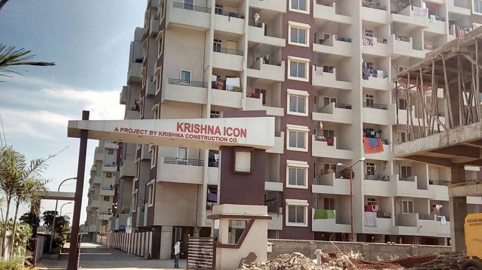 Krishna Icon - Project Photo