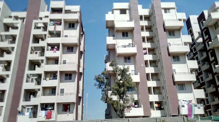 Krishna Icon - Project Photo