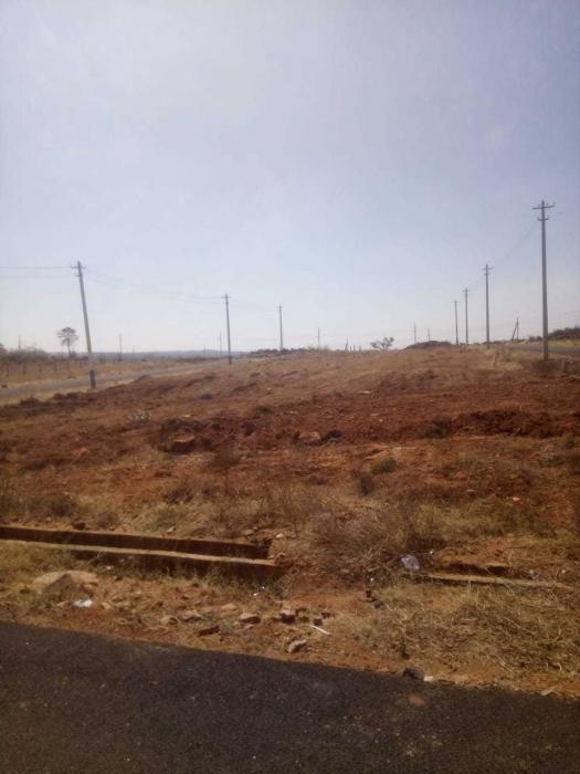 Bharathi Monarch - Project Photo