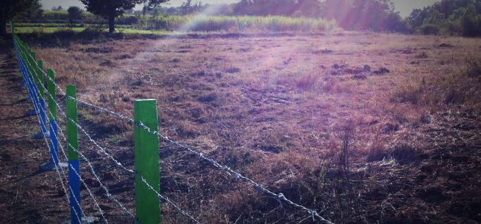 Right Choice Green Mist - Project Photo