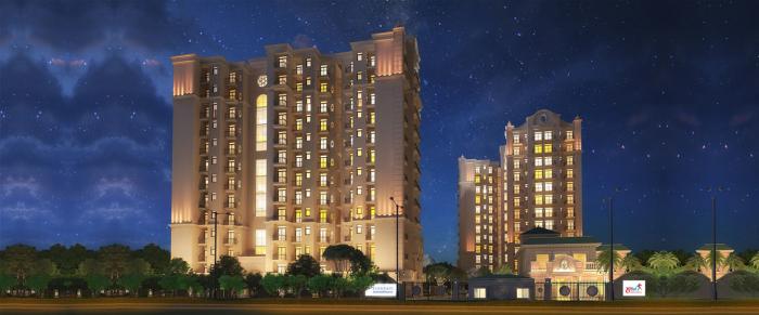 Oro Element - Project Photo