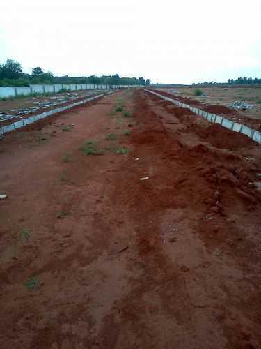 Arow Win City - Project Photo