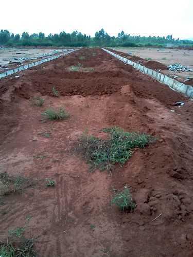 Arow Win City - Project Photo