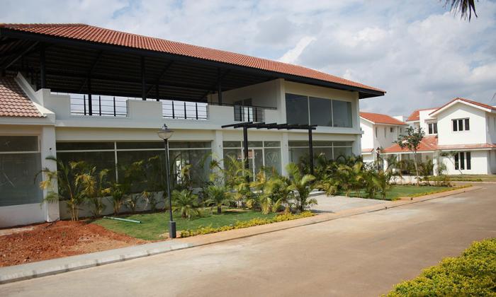 Saran Mulberry Meadows - Project Photo