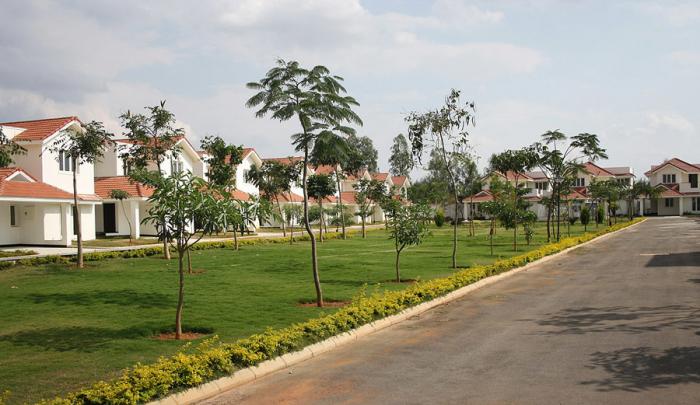 Saran Mulberry Meadows - Project Photo