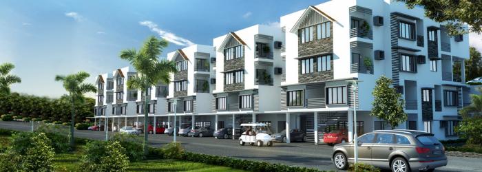 Favourite The Violet - Banner Image