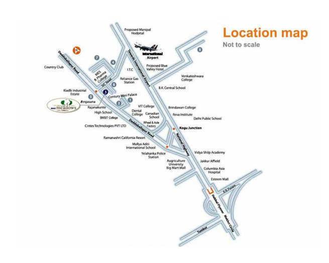 Max Meadows - Locality