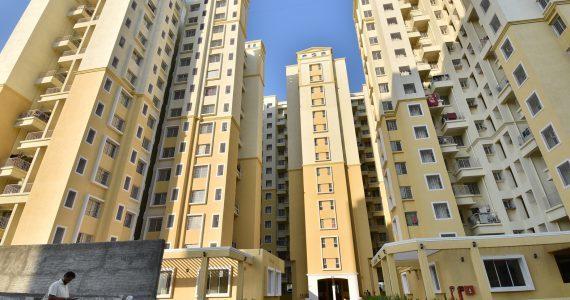 DMK Stella - Project Photo