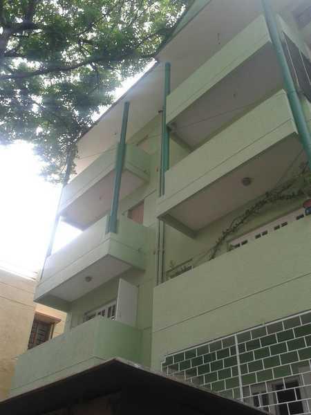 Pristine Park - Project Photo