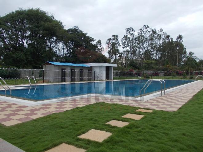 Daadys String  plots - Out Door Swimming Pool