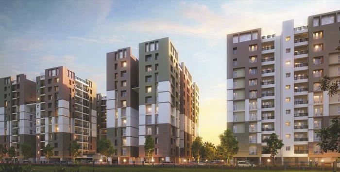 Unimark Springfield Elite 1 - Project Photo