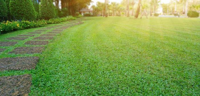 Lodha Codename Rare Gem - Landscape