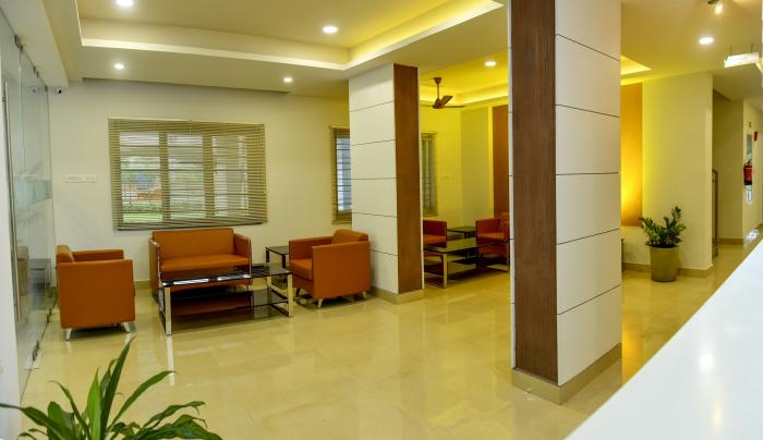 Arya Bhangy Pine Tree - Project Photo