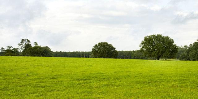 GDA Mathura City - Banner Image