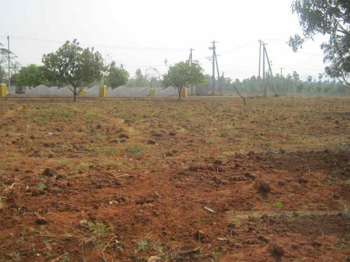 NSP Jagadabhirama - Banner Image