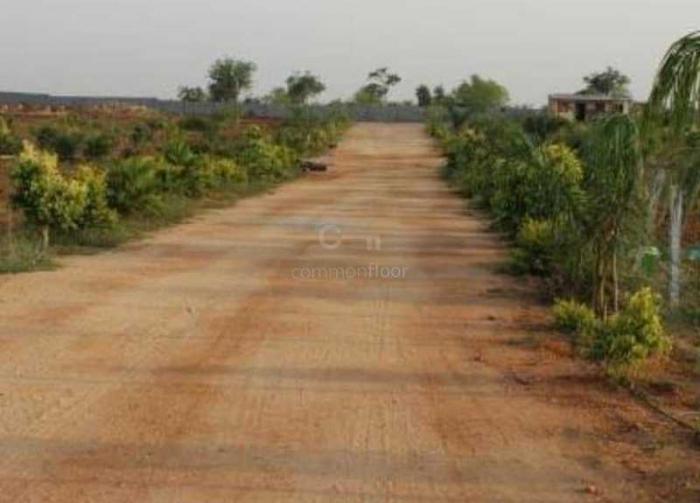 Siyora Highway County - Project Photo